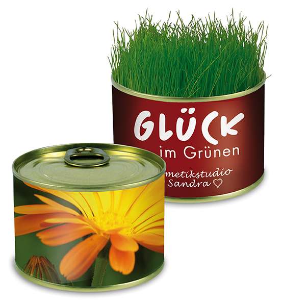 Natur-Konserve mit Samen