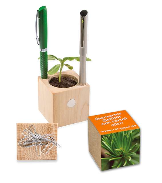 Pflanz-Holz Büro Xmas mit Fichtensamen