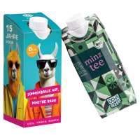 1 recycelbares Tetra Pak® mit Ocha-Ocha® BIO Minztee