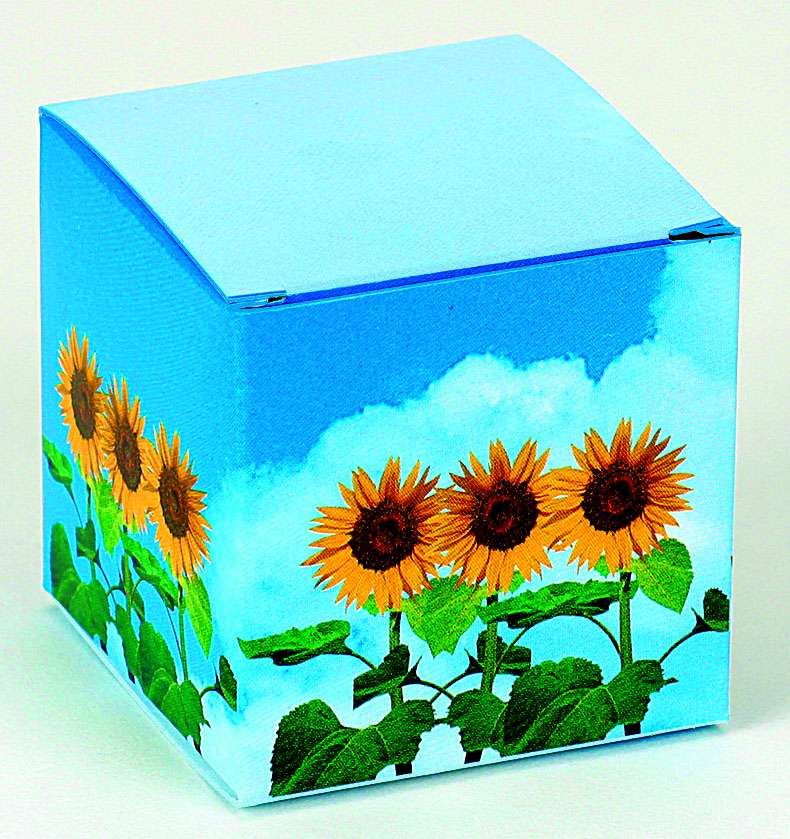 Würfel Sonniges Wachstum