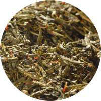 YuboFiT® Sencha ROTER GINSENG Tee