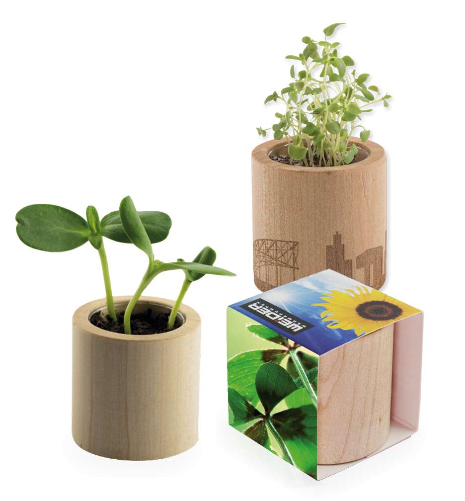 Pflanz-Holz rund mit Samen