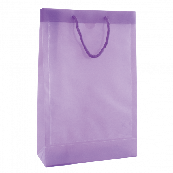 Tragetasche transparent mit 2 Fenstern A4