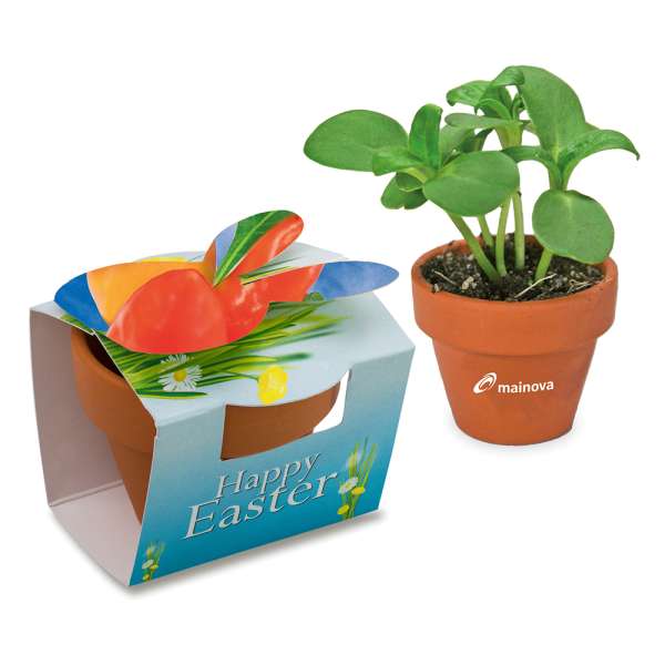 Tontöpfchen-Hase mit Samen