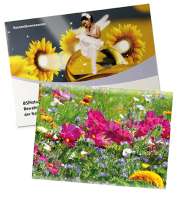 Standardpapier - Sommerblumenmischung