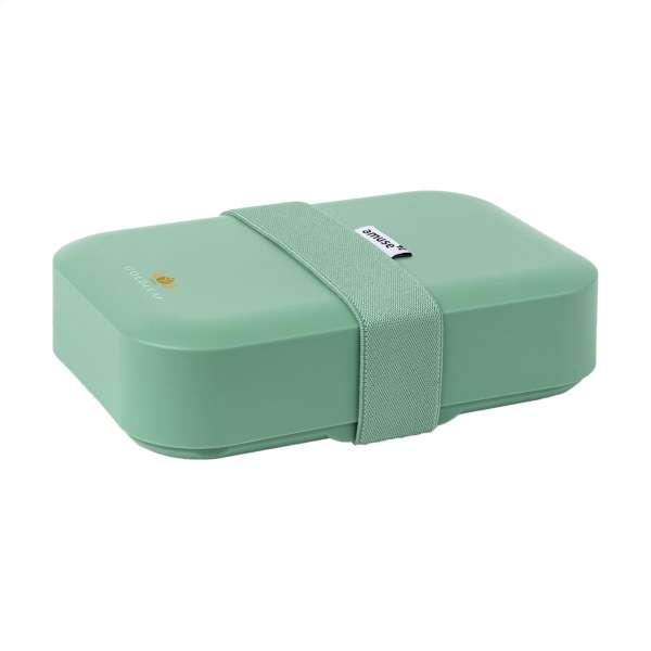 Amuse Classic Lunchbox Medium