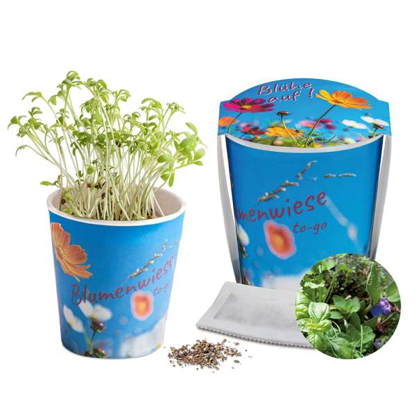 Blumenwiese To-Go - Ostern