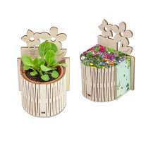 Sommerblumenmischung