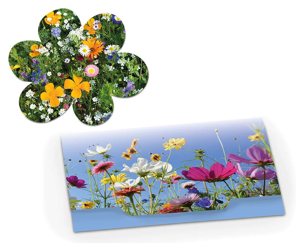 Samenpapier Blümchen - Standardmotiv