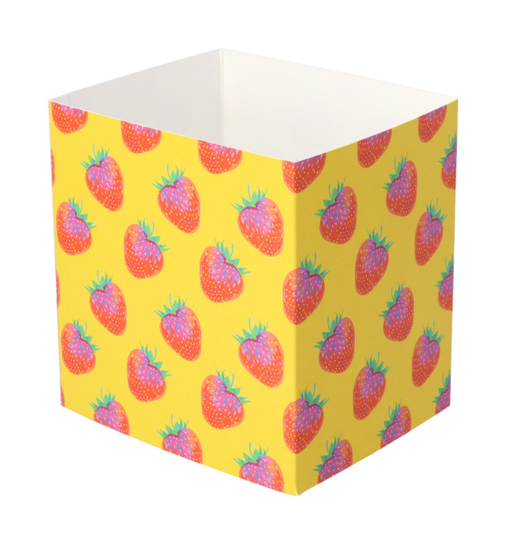 Individueller Pappschuber CreaSleeve 391