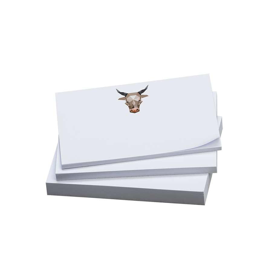 Haftnotizen 140 x 75 mm, 25 Blatt