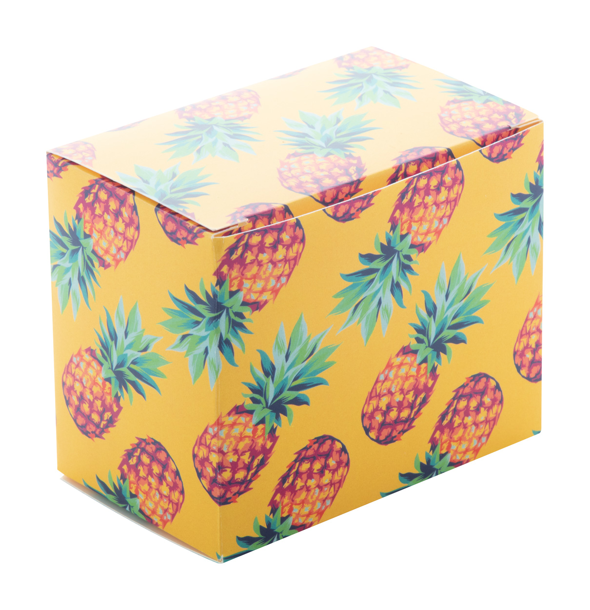 Individuelle Box CreaBox PB-387