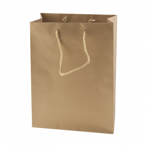 Matte Papiertasche silber und gold 220 x 290 x 100 mm