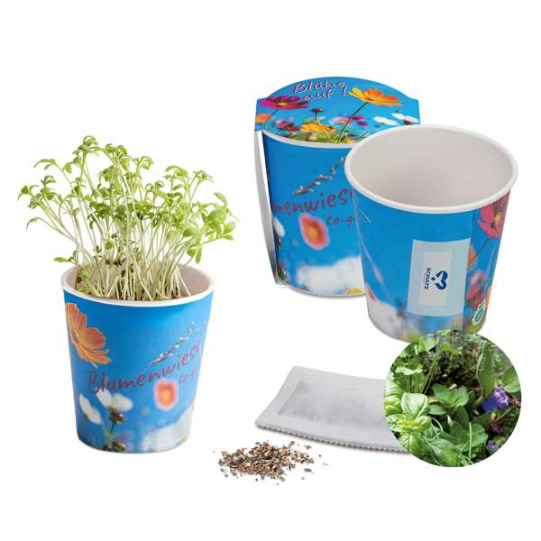 Blumenwiese To-Go - Ostern