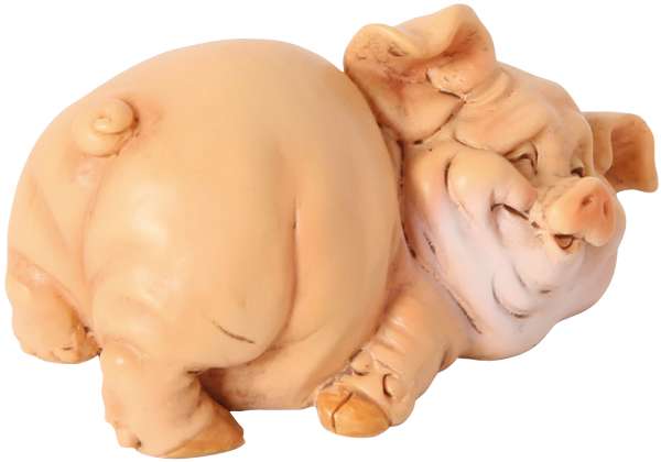Glückliches Schweinchen