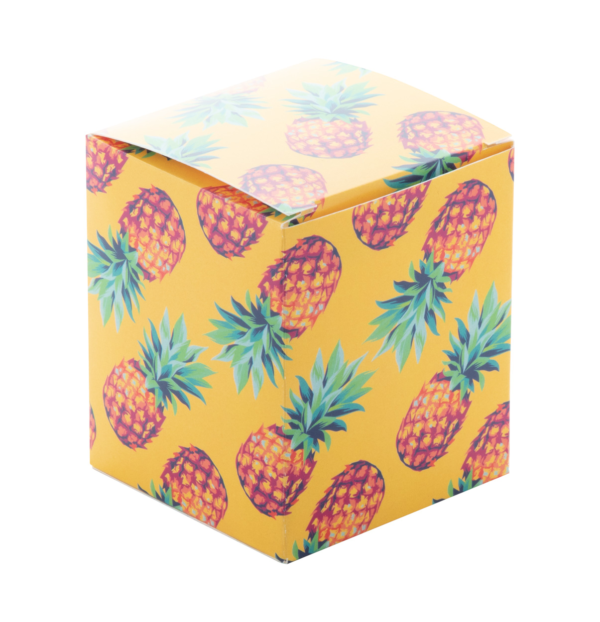  Individuelle Box CreaBox PB-071