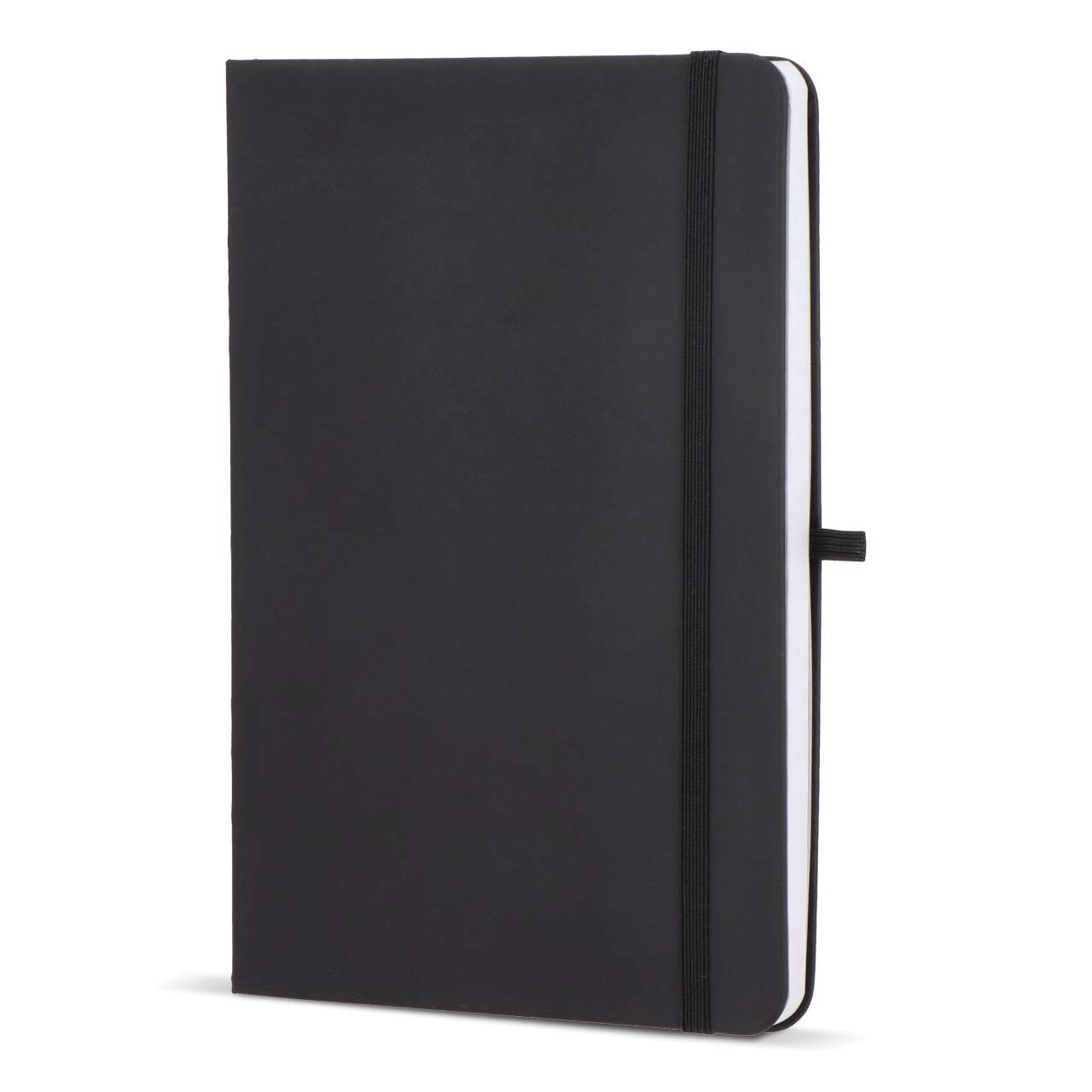 Notizbuch Olmo Hardcover PU A5 mit Haftnotizen