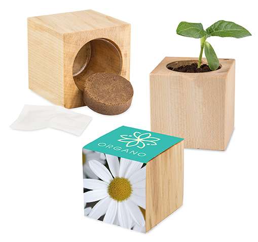 Pflanz-Holz Maxi mit Samen