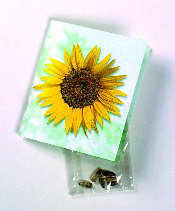 Klappkärtchen Sonne