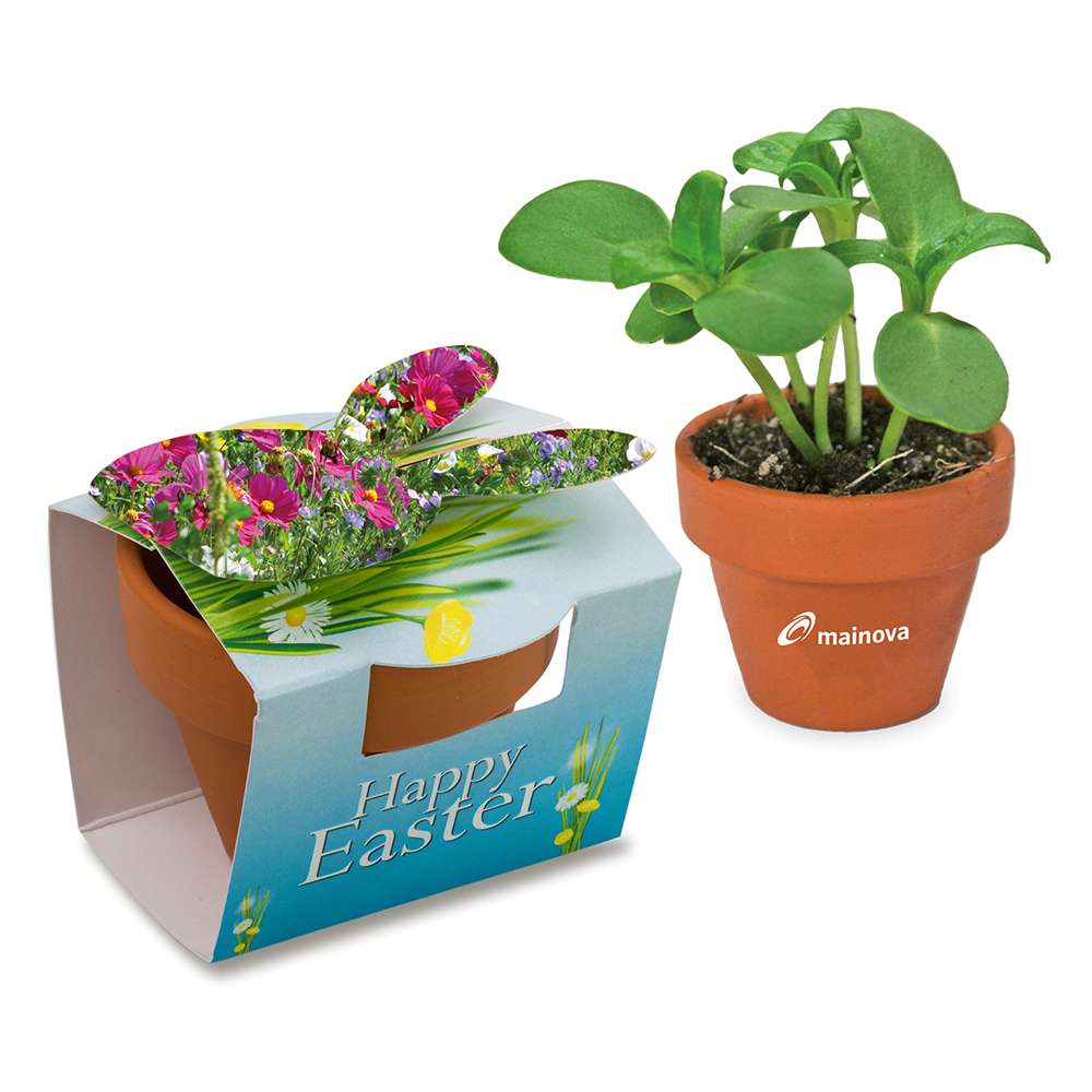 Tontöpfchen-Hase mit Samen