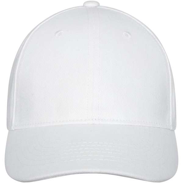 Davis Panel Kappe mit 6 Segmenten