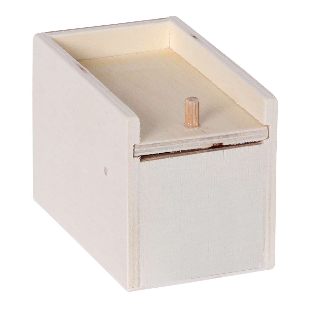 Grusel-Spinne in Holzbox