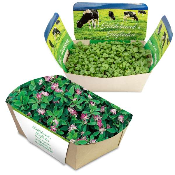 Pflanzodrom mit Samen