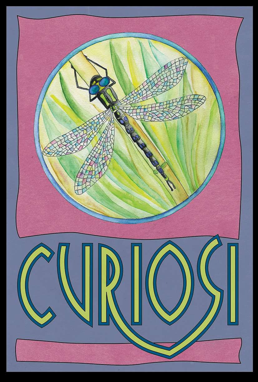 Picoli Puzzle Libelle