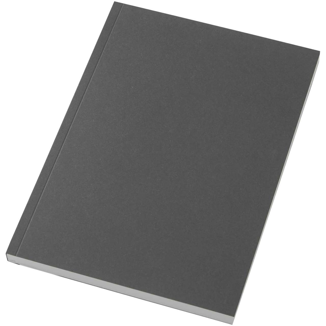 Scribe Plus A5 recyceltes Softcover Notizbuch