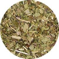 YuboFiT® Mate grün Tee