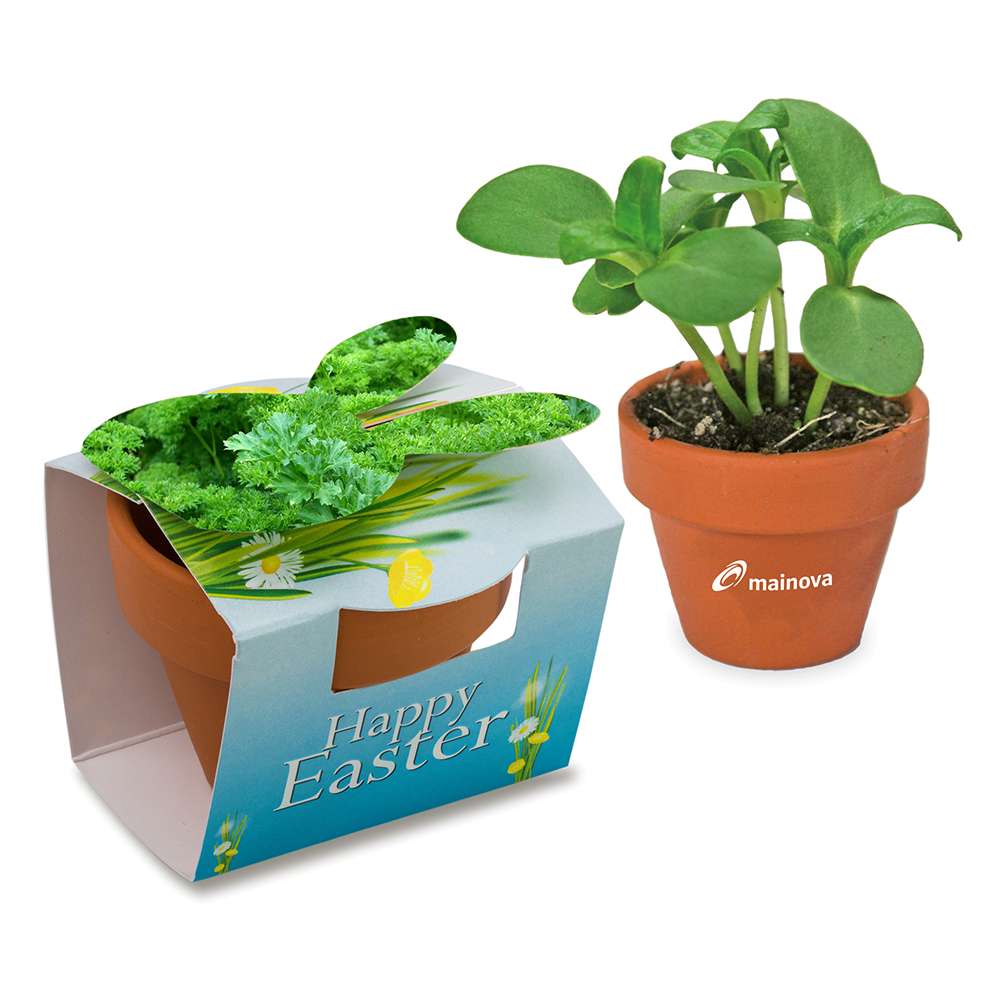 Tontöpfchen-Hase mit Samen