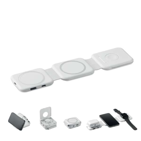 3fach Ladestation ROIS