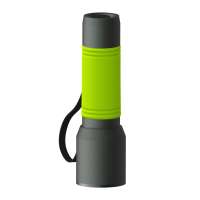 Taschenlampe grau, Hülle hellgrün