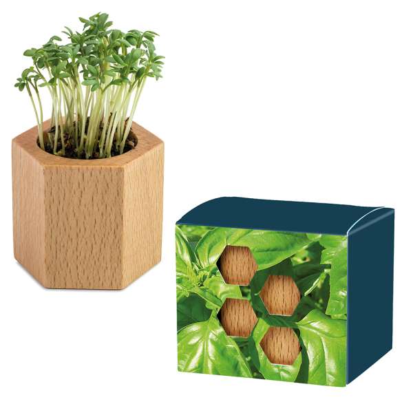 Pflanz-Holz Hexagon mit Samen - Ostern