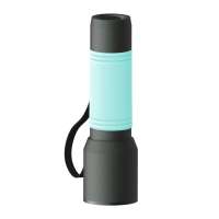 Taschenlampe grau, Hülle mint