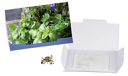 Flower-Card mit Samen