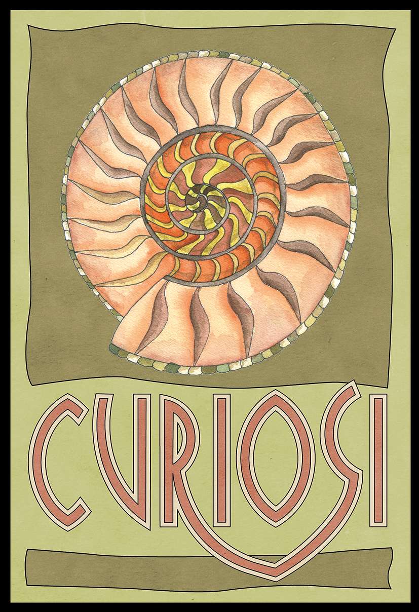 Picoli Puzzle Schneckenhaus