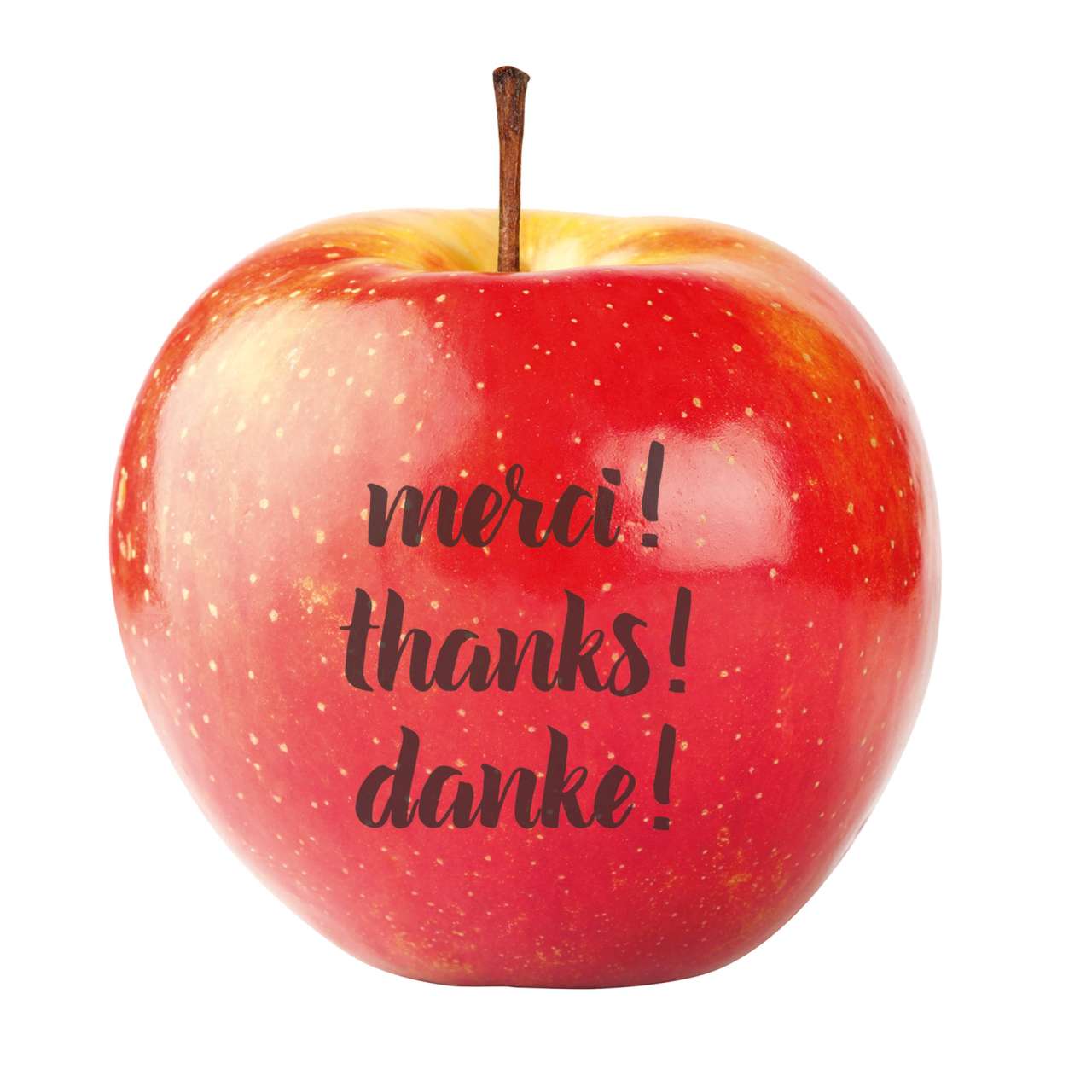LogoFrucht Apfel 