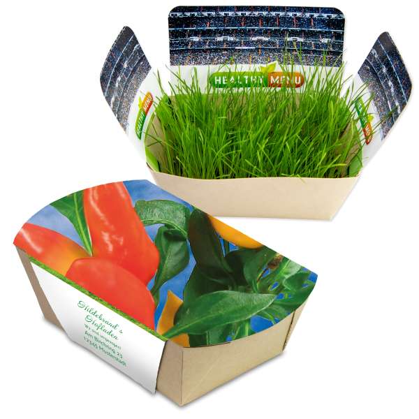 Pflanzodrom mit Samen