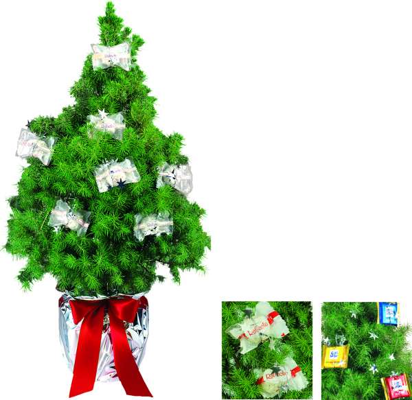 Sport-Bäumchen 35-45 cm