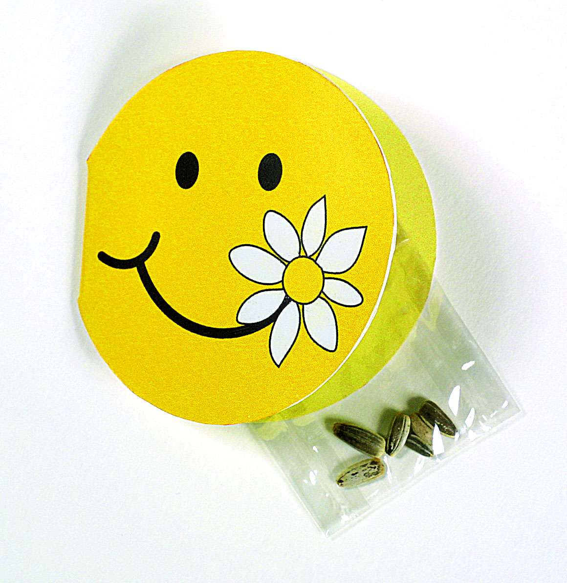 Klappkärtchen Smile