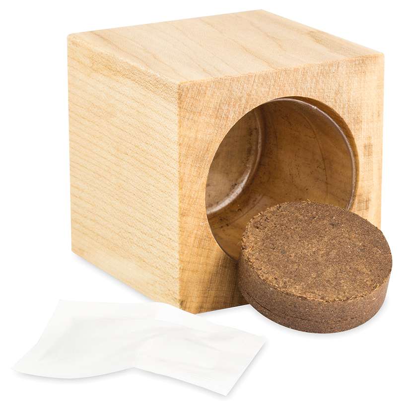 Pflanz-Holz Maxi Star-Box Xmas mit Fichtensamen