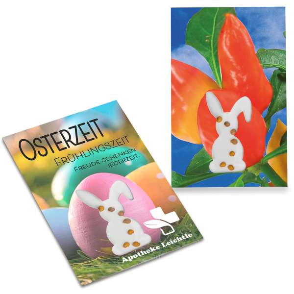 Samen-Karte-Mini Ostern