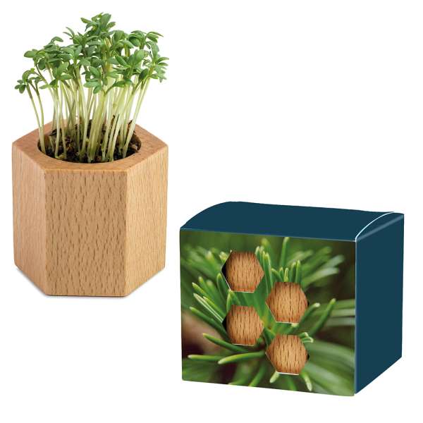 Pflanz-Holz Hexagon mit Samen - Ostern