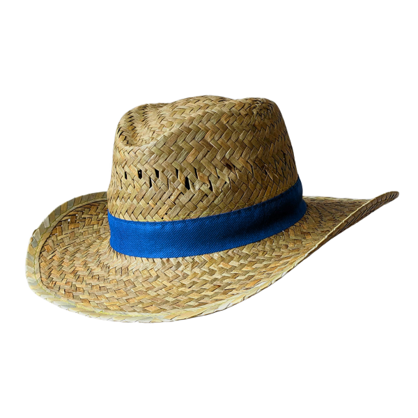Strohhut Vital (natur) mit bedrucktem Hutband