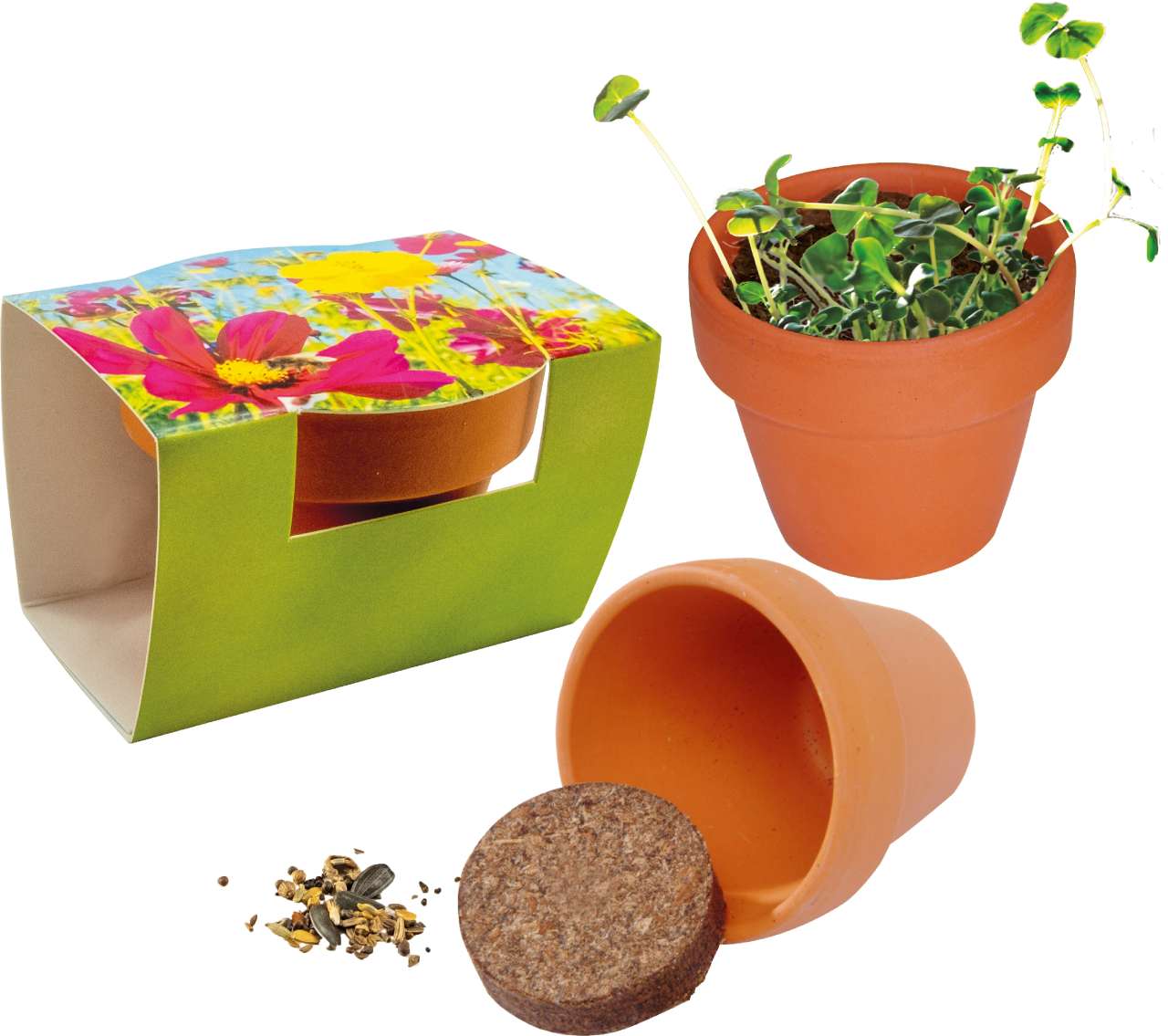 Tontöpfchen Bienen-Snack