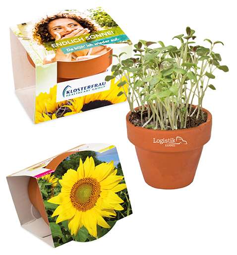 Logo-Töpfchen Überreichverpackung mit Samen