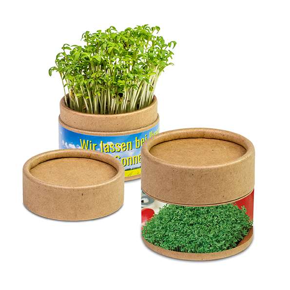 Pflanz-Cup mit Samen - Weihnachten