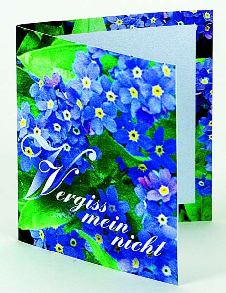 Klappkärtchen Vergiss-mein-nicht