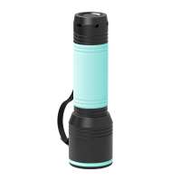 Taschenlampe schwarz, Ring mint, Hülle mint